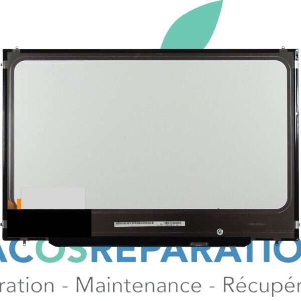 DALLE ÉCRAN LCD POUR MACBOOK PRO 17" A1297