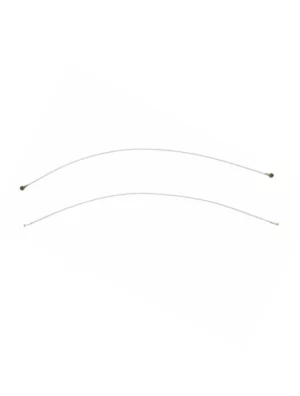 Câble antenne Samsung Galaxy Note 10 Lite (N770F) (113mm)